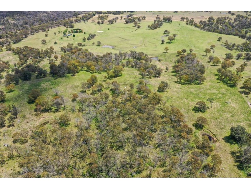 485 Billirimba Road, Tenterfield NSW 2372