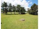 126 Cowper Street, Tenterfield NSW 2372