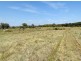 1026 New England Highway, Tenterfield NSW 2372