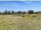 1026 New England Highway, Tenterfield NSW 2372