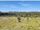 1026 New England Highway, Tenterfield NSW 2372