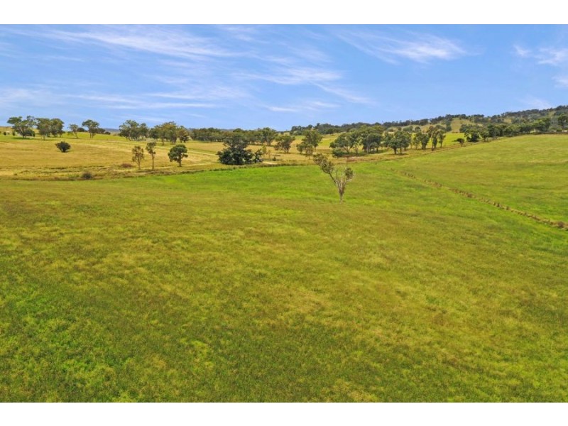 79 Bryans Gap Road, Tenterfield NSW 2372