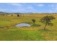 79 Bryans Gap Road, Tenterfield NSW 2372