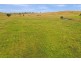 79 Bryans Gap Road, Tenterfield NSW 2372