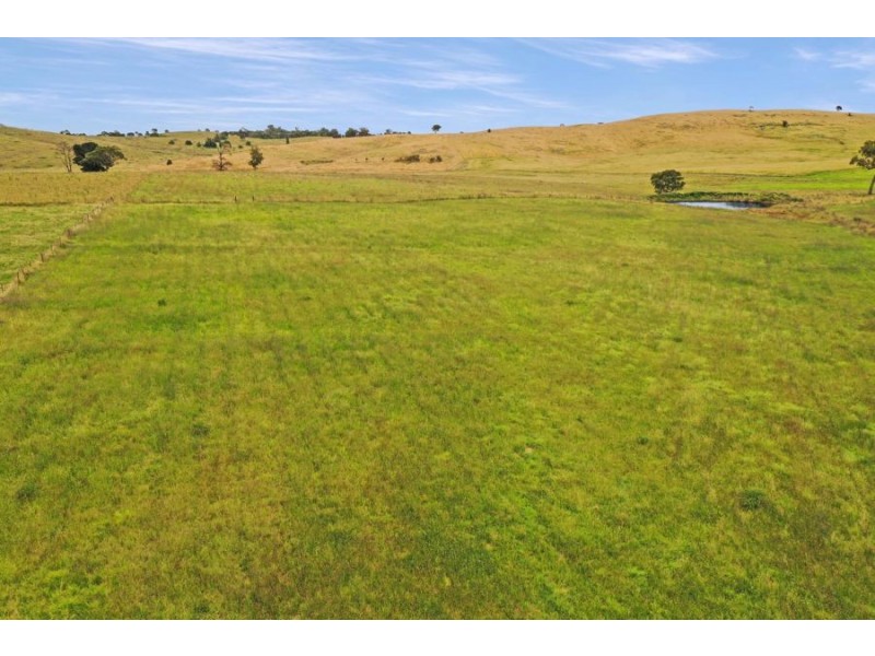 79 Bryans Gap Road, Tenterfield NSW 2372