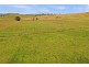 79 Bryans Gap Road, Tenterfield NSW 2372