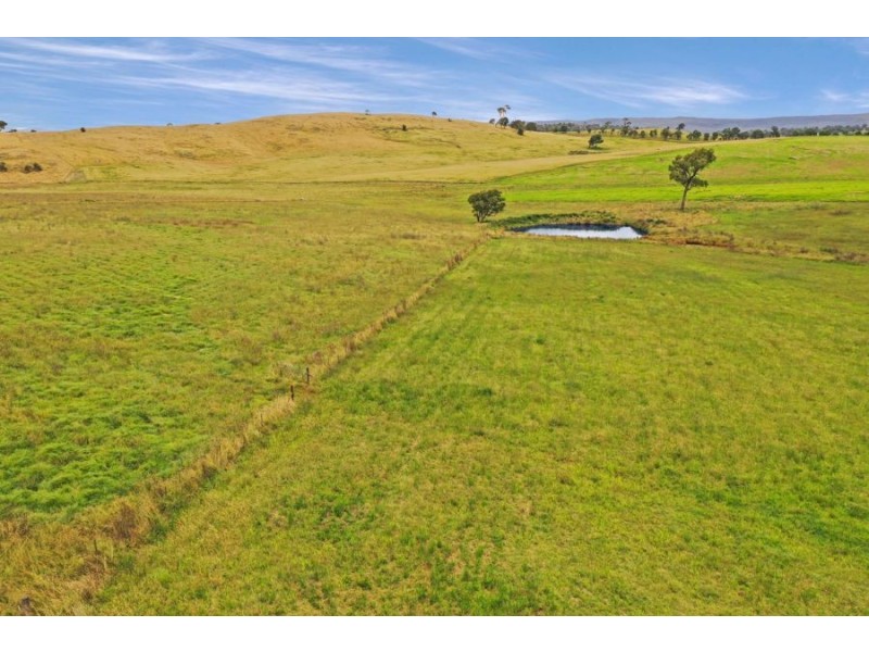 79 Bryans Gap Road, Tenterfield NSW 2372