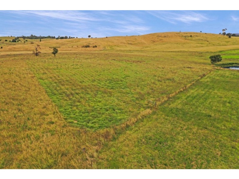 79 Bryans Gap Road, Tenterfield NSW 2372