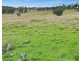 8038 New England Highway, Tenterfield NSW 2372
