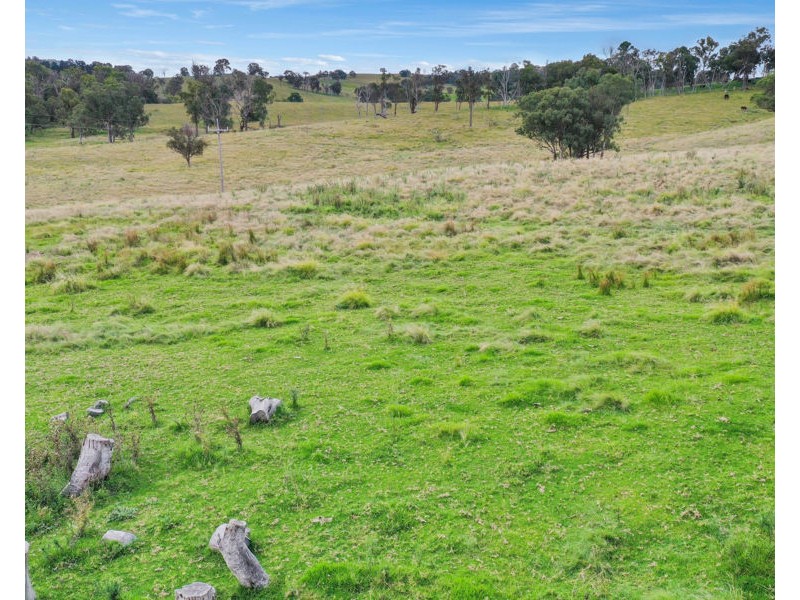 8038 New England Highway, Tenterfield NSW 2372