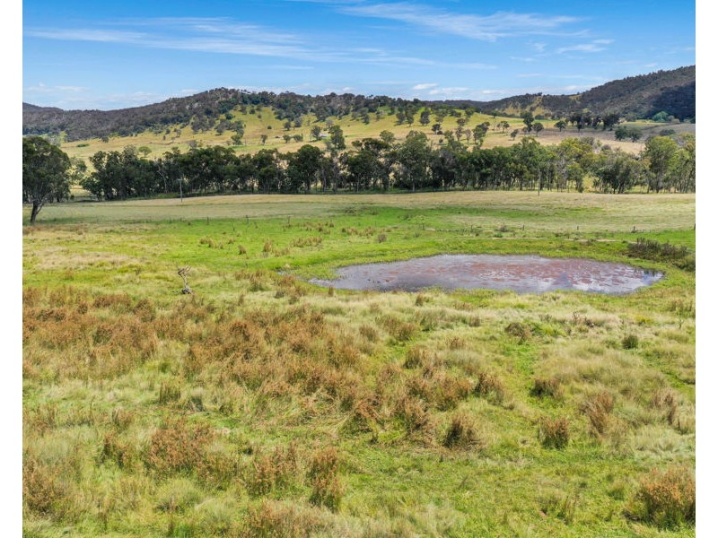 8038 New England Highway, Tenterfield NSW 2372