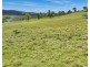 8038 New England Highway, Tenterfield NSW 2372