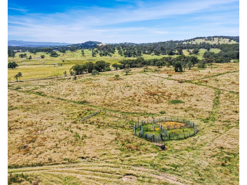 585 Sunnyside Loop Road, Tenterfield NSW 2372