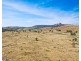 585 Sunnyside Loop Road, Tenterfield NSW 2372