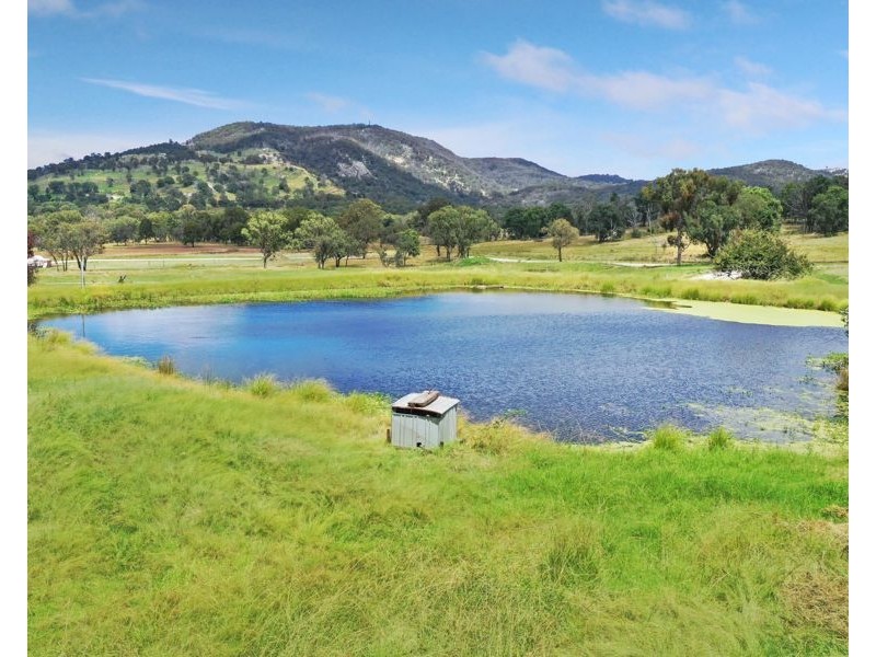 49 Holleys Road, Tenterfield NSW 2372