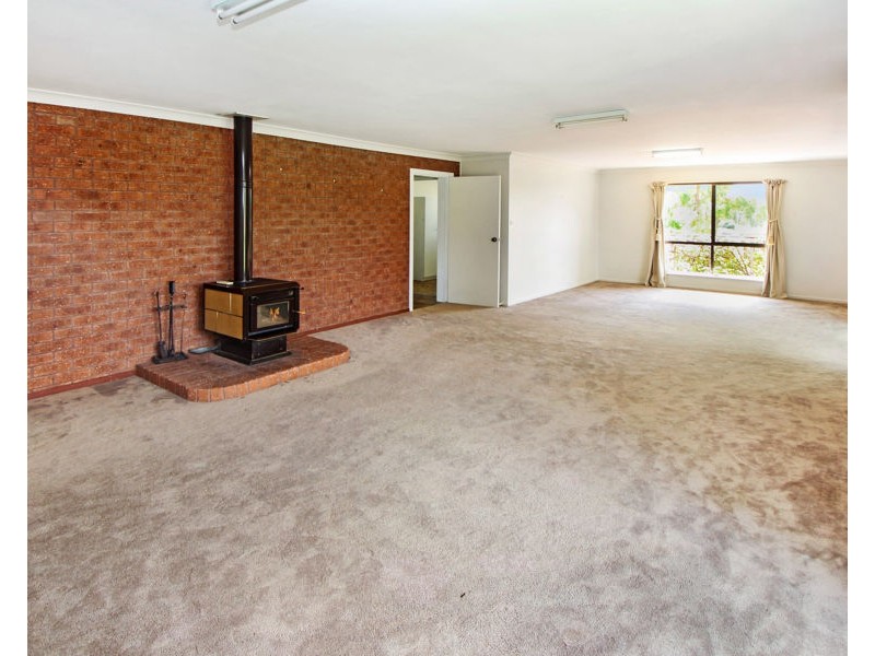 49 Holleys Road, Tenterfield NSW 2372