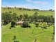 49 Holleys Road, Tenterfield NSW 2372