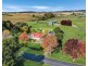 104 Mount Lindesay Road, Tenterfield NSW 2372