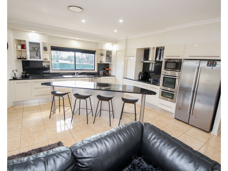 159 Bellevue Road, Tenterfield NSW 2372