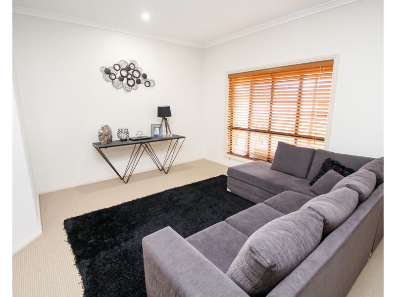 159 Bellevue Road, Tenterfield NSW 2372