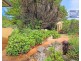 54 George Street, Tenterfield NSW 2372