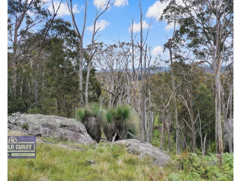 1505 Mount Speribo Road, Sandy Flat, Tenterfield NSW 2372