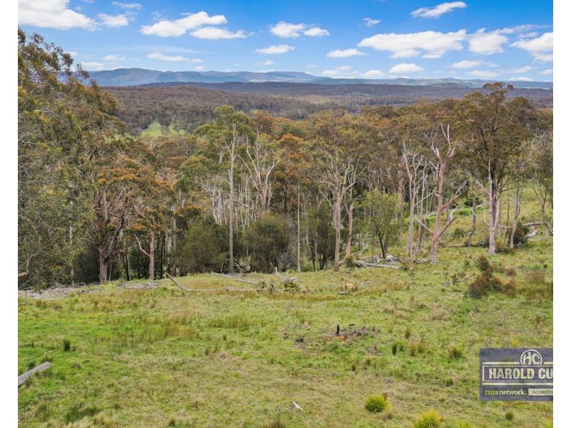 1505 Mount Speribo Road, Sandy Flat, Tenterfield NSW 2372