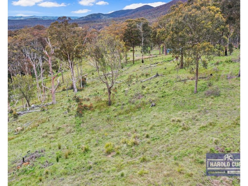 1505 Mount Speribo Road, Sandy Flat, Tenterfield NSW 2372