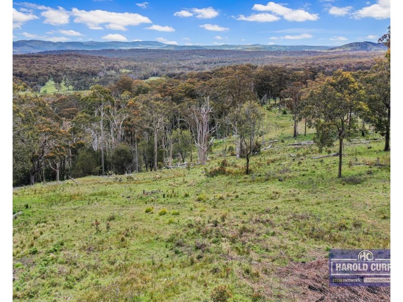 1505 Mount Speribo Road, Sandy Flat, Tenterfield NSW 2372