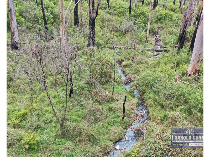 1505 Mount Speribo Road, Sandy Flat, Tenterfield NSW 2372