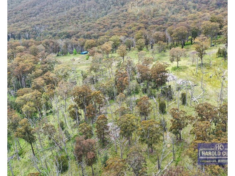 1505 Mount Speribo Road, Sandy Flat, Tenterfield NSW 2372