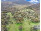 1505 Mount Speribo Road, Sandy Flat, Tenterfield NSW 2372
