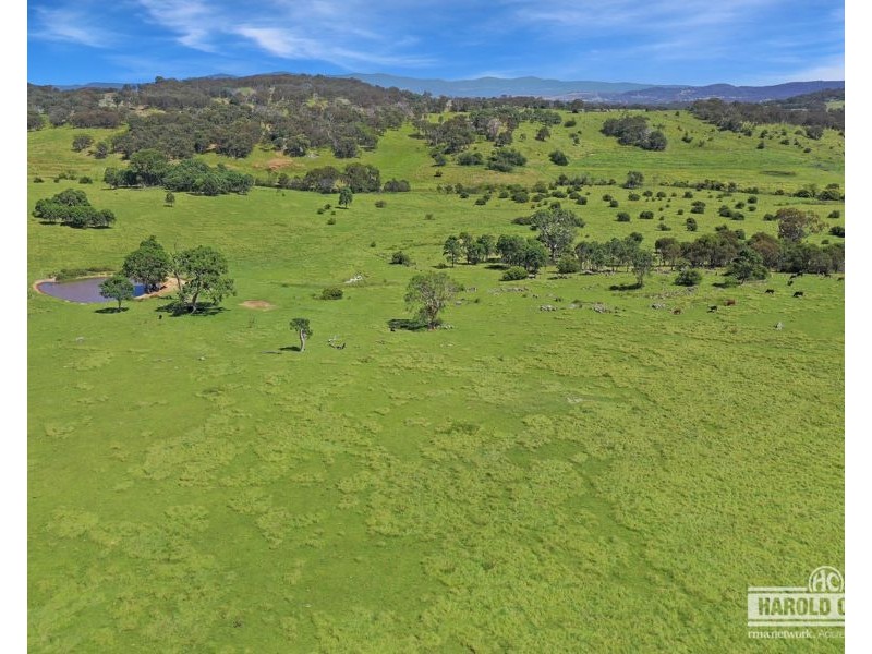 379 New England Highway, Tenterfield NSW 2372