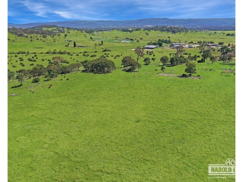 379 New England Highway, Tenterfield NSW 2372