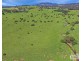 379 New England Highway, Tenterfield NSW 2372