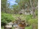 1214 Mt McKenzie Road, Tenterfield NSW 2372