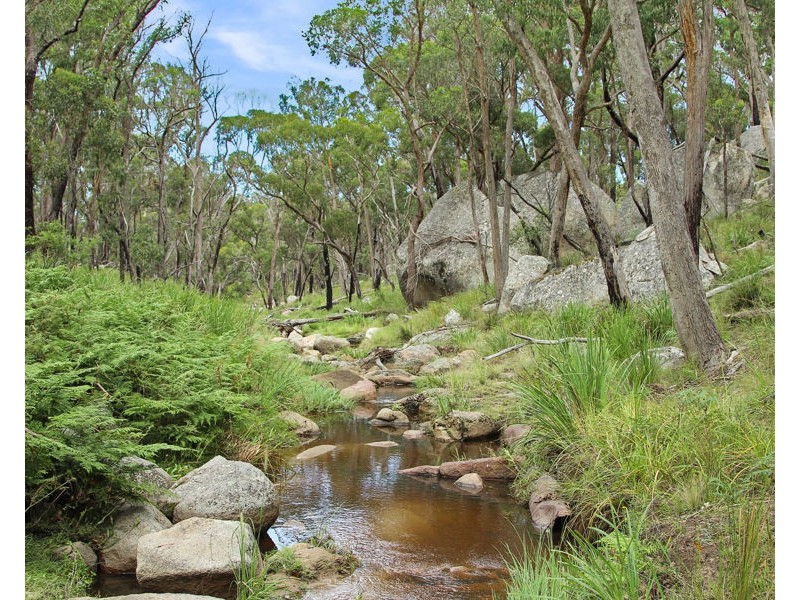 1214 Mt McKenzie Road, Tenterfield NSW 2372