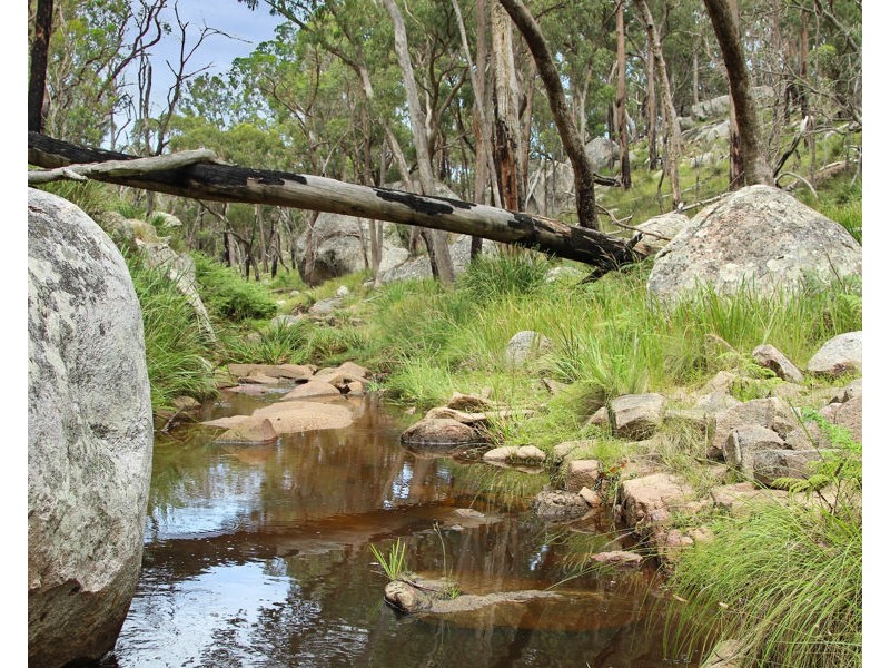 1214 Mt McKenzie Road, Tenterfield NSW 2372