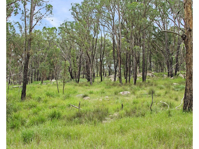1214 Mt McKenzie Road, Tenterfield NSW 2372