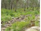 1214 Mt McKenzie Road, Tenterfield NSW 2372