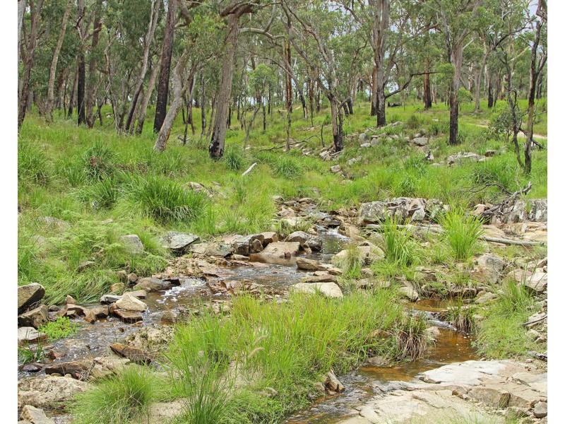 1214 Mt McKenzie Road, Tenterfield NSW 2372