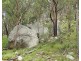 1214 Mt McKenzie Road, Tenterfield NSW 2372