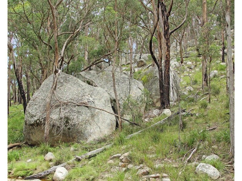 1214 Mt McKenzie Road, Tenterfield NSW 2372