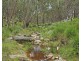 1214 Mt McKenzie Road, Tenterfield NSW 2372