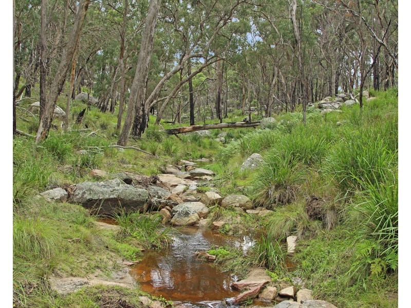 1214 Mt McKenzie Road, Tenterfield NSW 2372