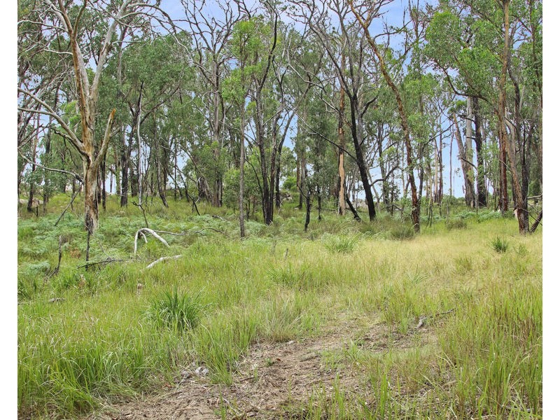 1214 Mt McKenzie Road, Tenterfield NSW 2372