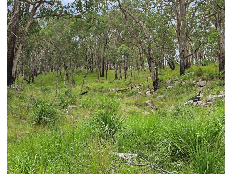 1214 Mt McKenzie Road, Tenterfield NSW 2372