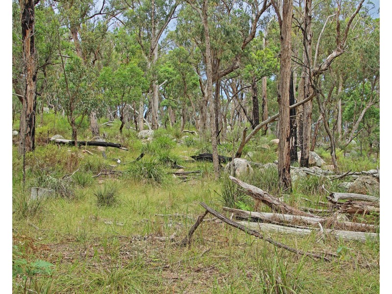 1214 Mt McKenzie Road, Tenterfield NSW 2372