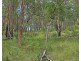 1214 Mt McKenzie Road, Tenterfield NSW 2372