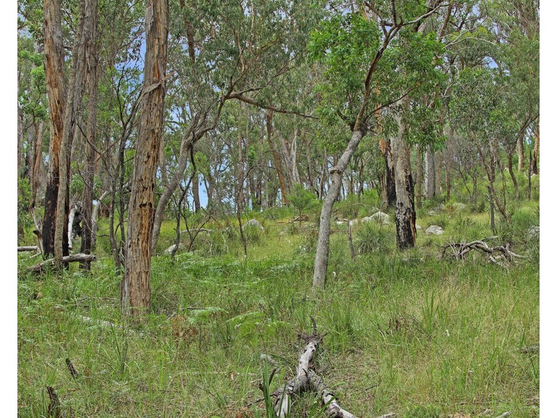 1214 Mt McKenzie Road, Tenterfield NSW 2372